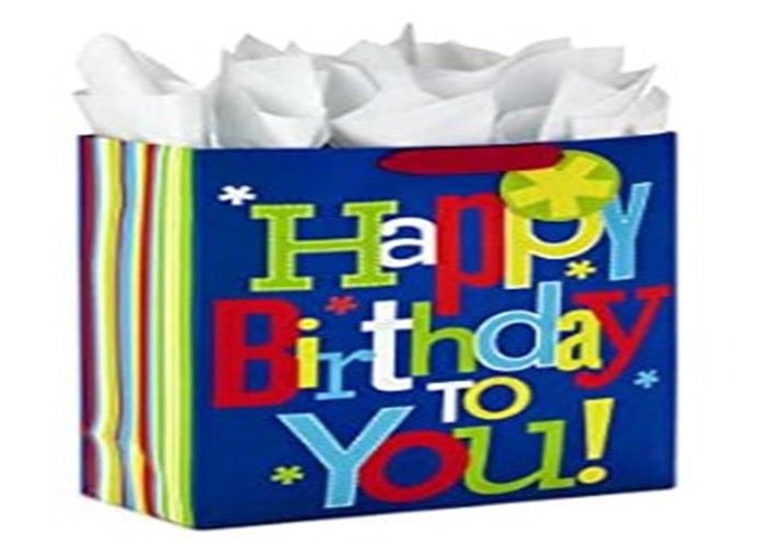 100 Recycled Vellum Kids Birthday Bag